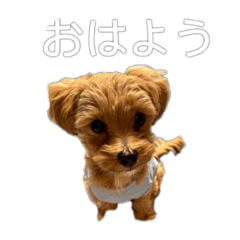 ochiai_20260811141650