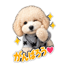 mitsu_20260811141019