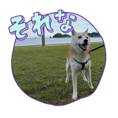 yuki_20260811141327