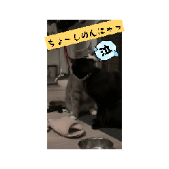 anyan_20260811145755