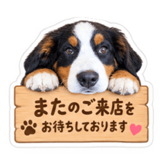 RAIMU_20260811083204