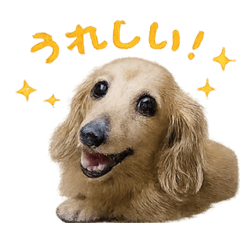 oki_20260811084724