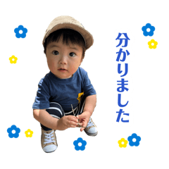 MACO_20260811123917