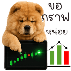 เชา เชา หมาน้อยเทรดเดอร์2