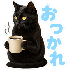 Real Black Cat Daily Stickers