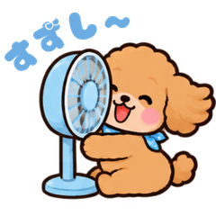 Everyday Summer Toy Poodle Stickers!