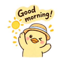 Mayu_20260811171228