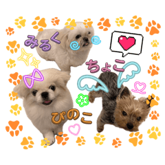 mayu_20260811175225