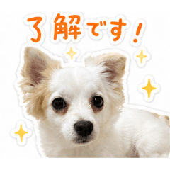 Natsu_20260811180542