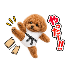 topuu