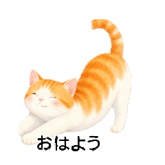 KAZUstore