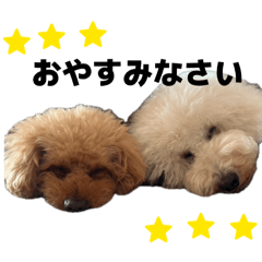 Satooko_20260811181143