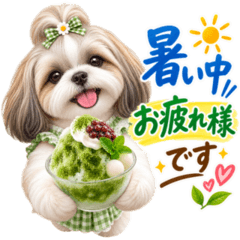 Shih Tzu Stickers stickers for Summer