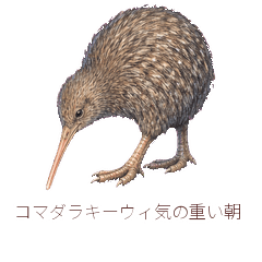Little Spotted Kiwi Slow Morning