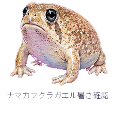 Desert Rain Frog Heat Check