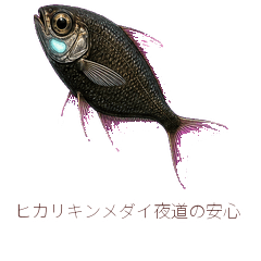 Flashlight Fish Night Safety