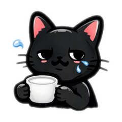 黑猫讯息