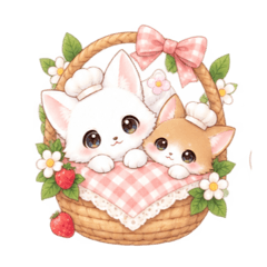 Yumi&tomo_20260811151005