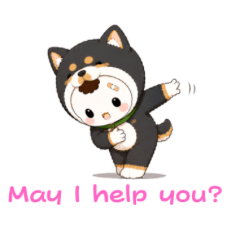 Dog Marume-chan 2