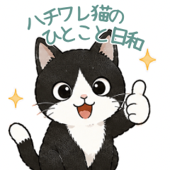 Tuxedo Cat Little Daily Messages