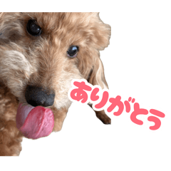 rusk's maker_20260811170442