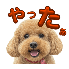 keikei_20260811170320 2