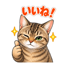 torachan777
