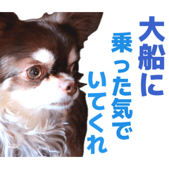 ramusu_20260811232730