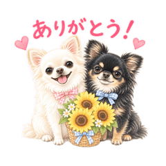 nomuberry_20260811184626