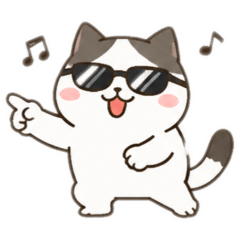 Cat!!!!!!1