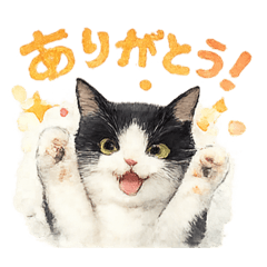 Mayu_20260811172703
