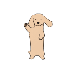 No Text Dachshund Animated (Cream)