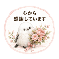 aikamm_20260811193734