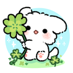 Malmal Baby Puppy: Everyday