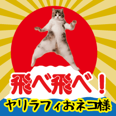 Yarirafi Cat