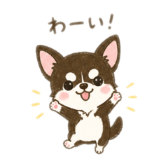 Waka_20260811214444