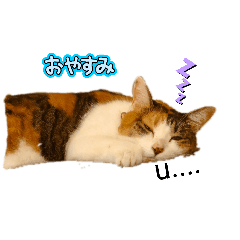 pepper_20260811214628