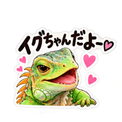 iguigu9632_20260811214732