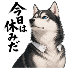 Husky Senpai 16: Day Off