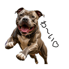 Dog's sticker...