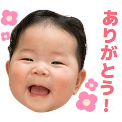 aoyagi_shishu_20260812013337