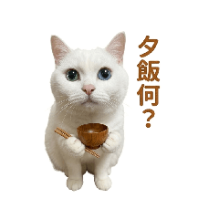 AKtoTM_20260811222202