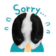 PitbullMoo7
