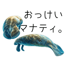 okinawa_yurui