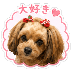 Mona the Little Dog: Everyday Words