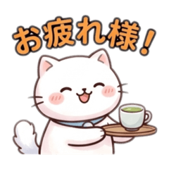 Fluffy White Cat Everyday