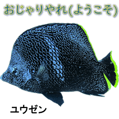 MINAMIDAITO'S FISH USES POLITE WORDS