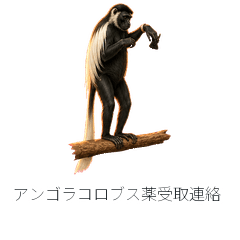 Angolan Colobus Prescription Pickup