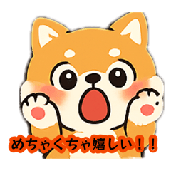 youskin7_20260812060717