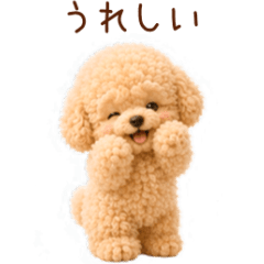 Fluffy Toy Poodles in Motion